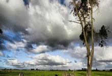 队记：杨瀚森或能解决开拓者半场进攻问题 比卢普斯不怕用年轻人