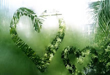 新疆势头如虹，甘肃冒尖誓言力战