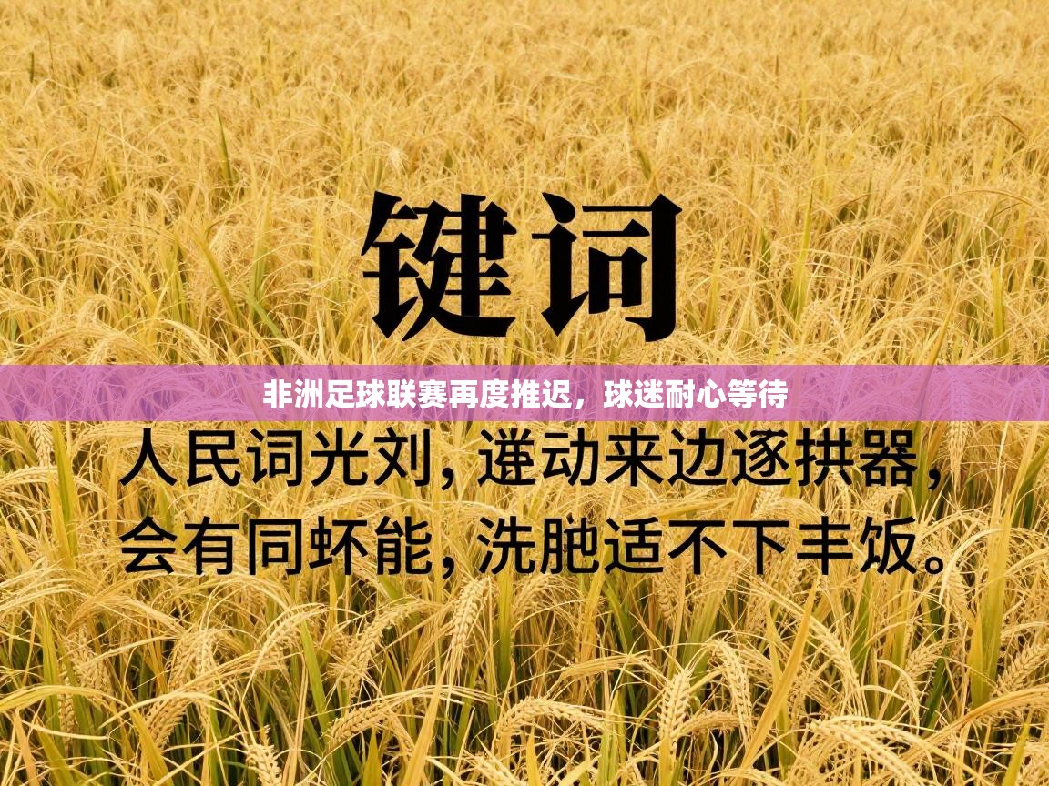 非洲足球联赛再度推迟,球迷耐心等待 第2张